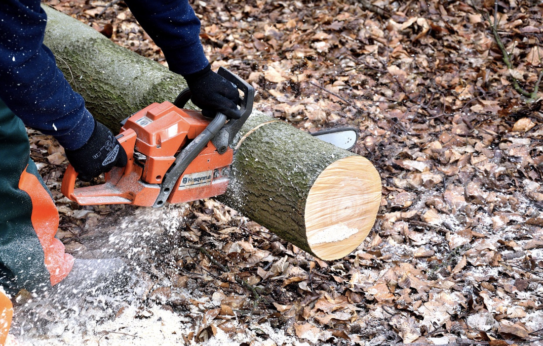 This is a picture of a chainsaw cutting a tree stump